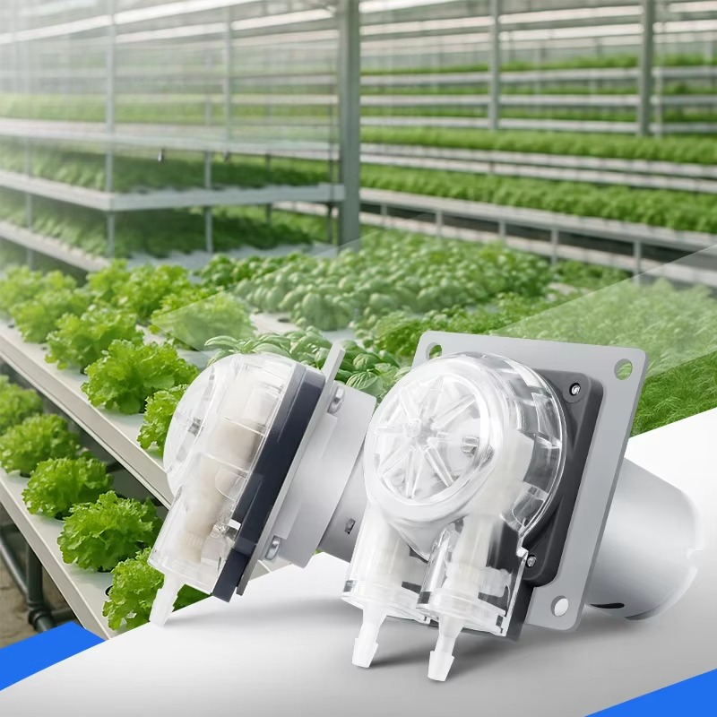 Hydroponic System - Düşük Gürültülü 12V 24V DC Motor
