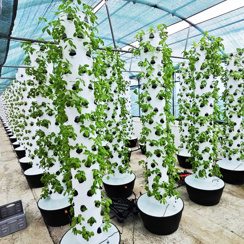 Hydroponic System - Yüksek Kaliteli Kolay Kurulumlu Küçük Dikey