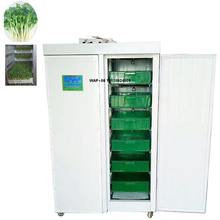 Hydroponic System - İç Mekan Hidroponik Fasulye Sarımsak Yetiştirme