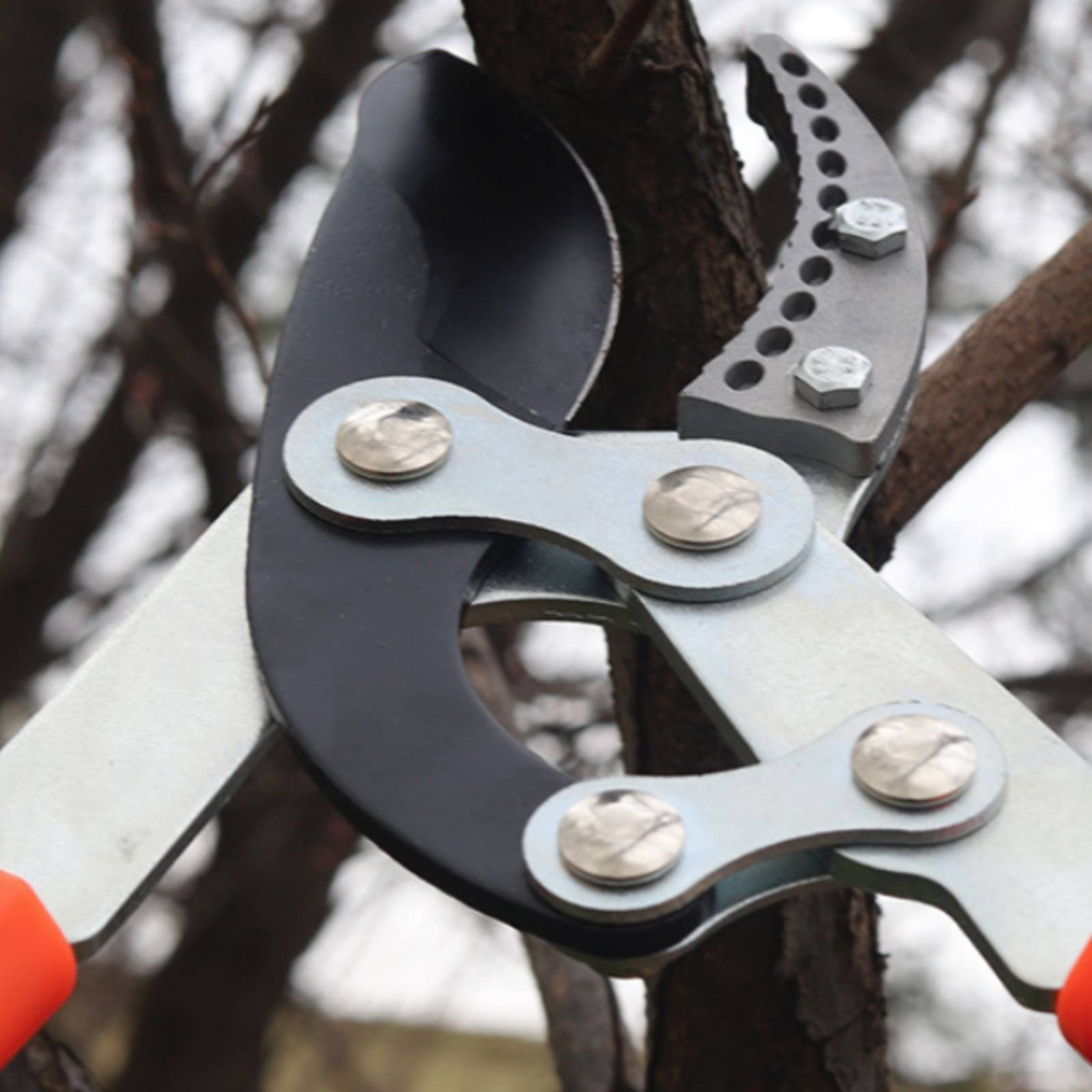 Gardening Tools - Teleskopik Dal Budama Makineleri Keskin Bıçaklı