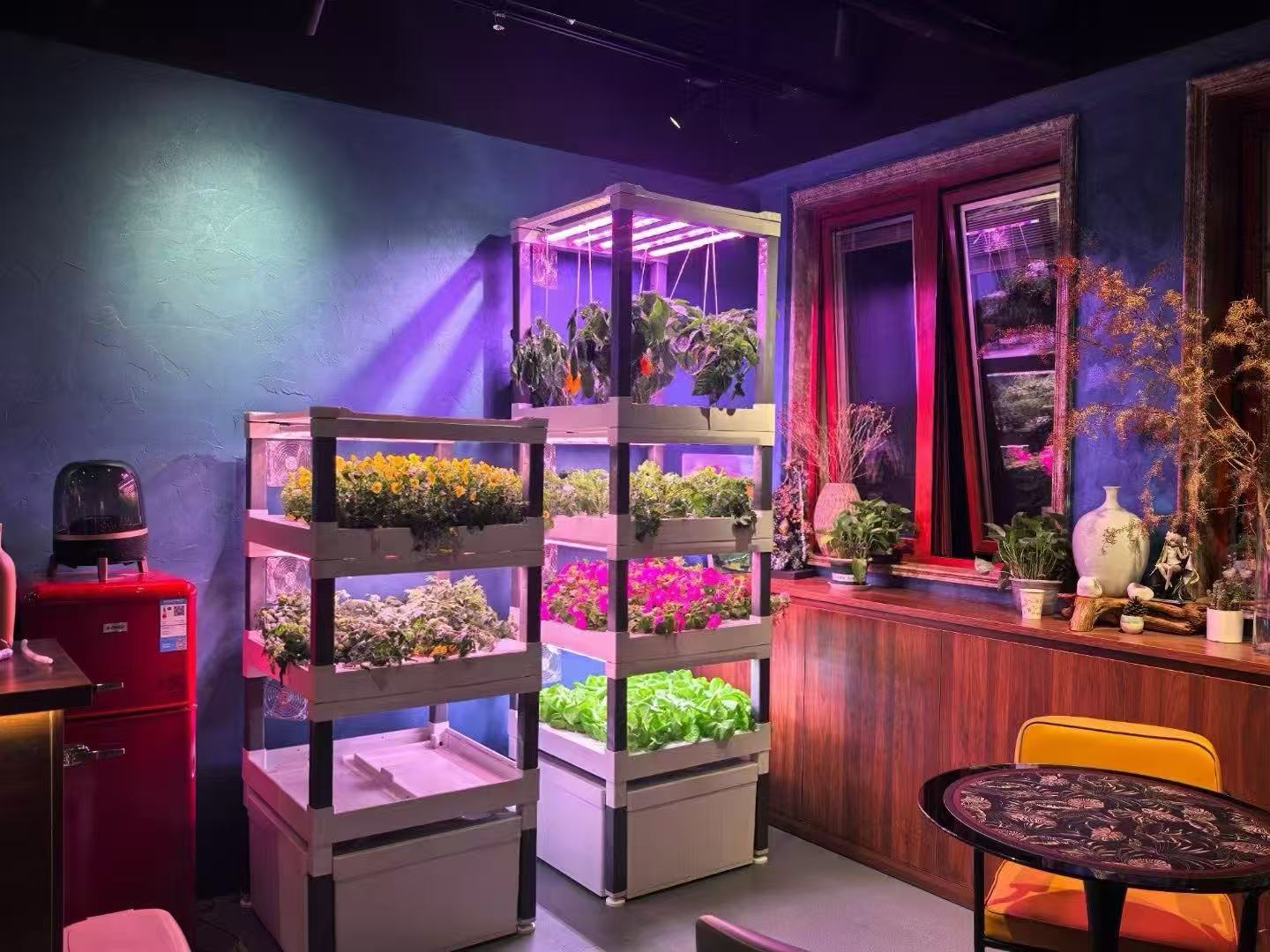 Yeni Otomatik Ev Tipi Dikey Hi - Hydroponic System incelemesi ve fiyatı