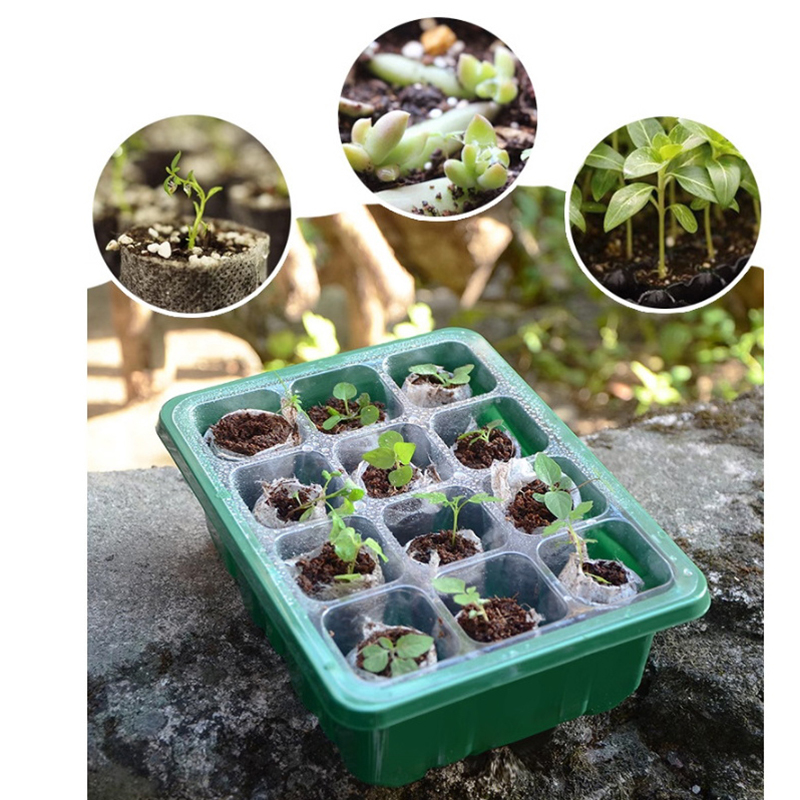 6/12 Delik Tohum Başlangıç Tep - Propagation Tray Dome incelemesi ve fiyatı