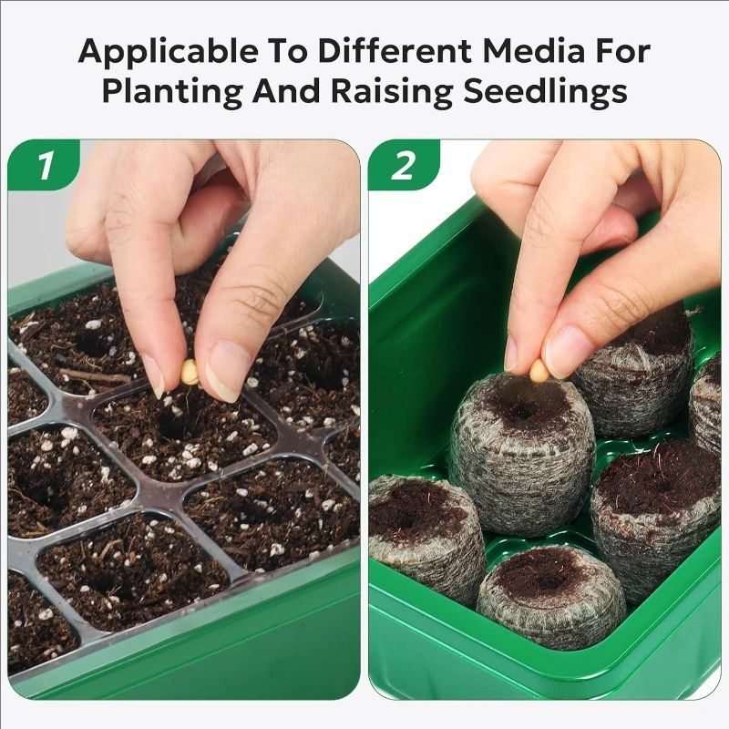10'lu/5'li Paket Fide Tepsiler - Propagation Tray Dome incelemesi ve fiyatı