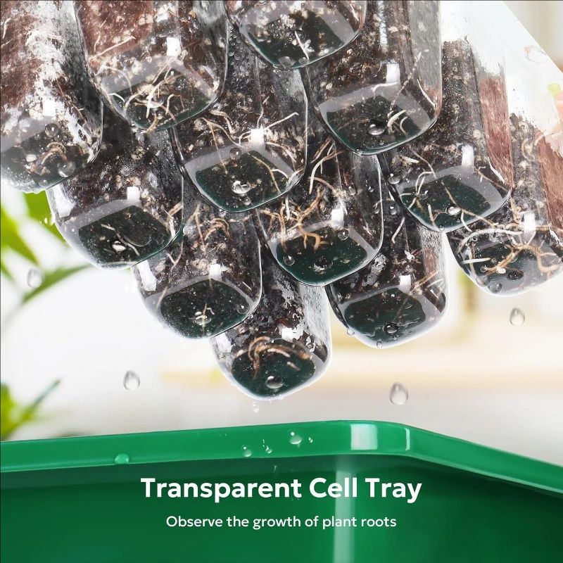 10'lu/5'li Paket Fide Tepsiler - Propagation Tray Dome incelemesi ve fiyatı