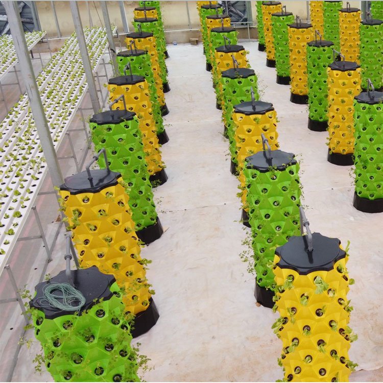 Yüksek Kaliteli Kolay Kuruluml - Hydroponic System incelemesi ve fiyatı