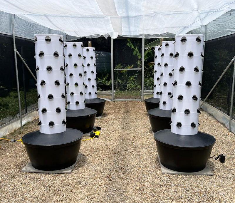 Yüksek Kaliteli Kolay Kuruluml - Hydroponic System incelemesi ve fiyatı