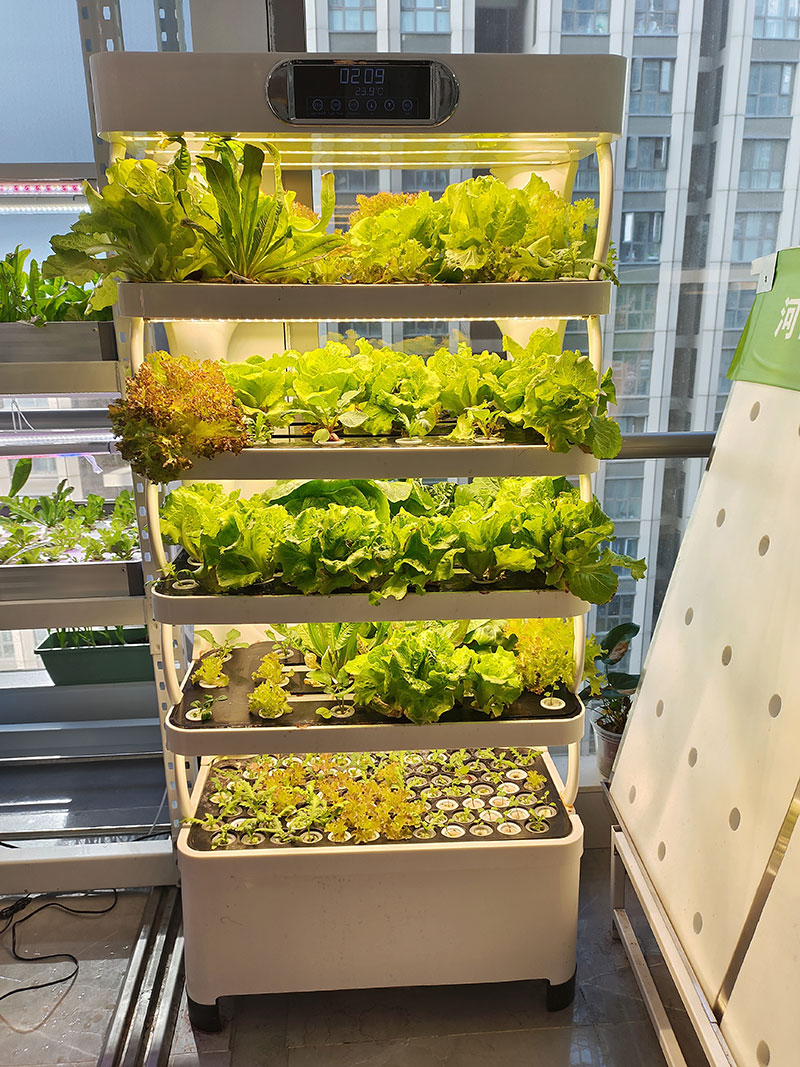 Sebze, Marul ve Çilek Yetiştir - Hydroponic System incelemesi ve fiyatı