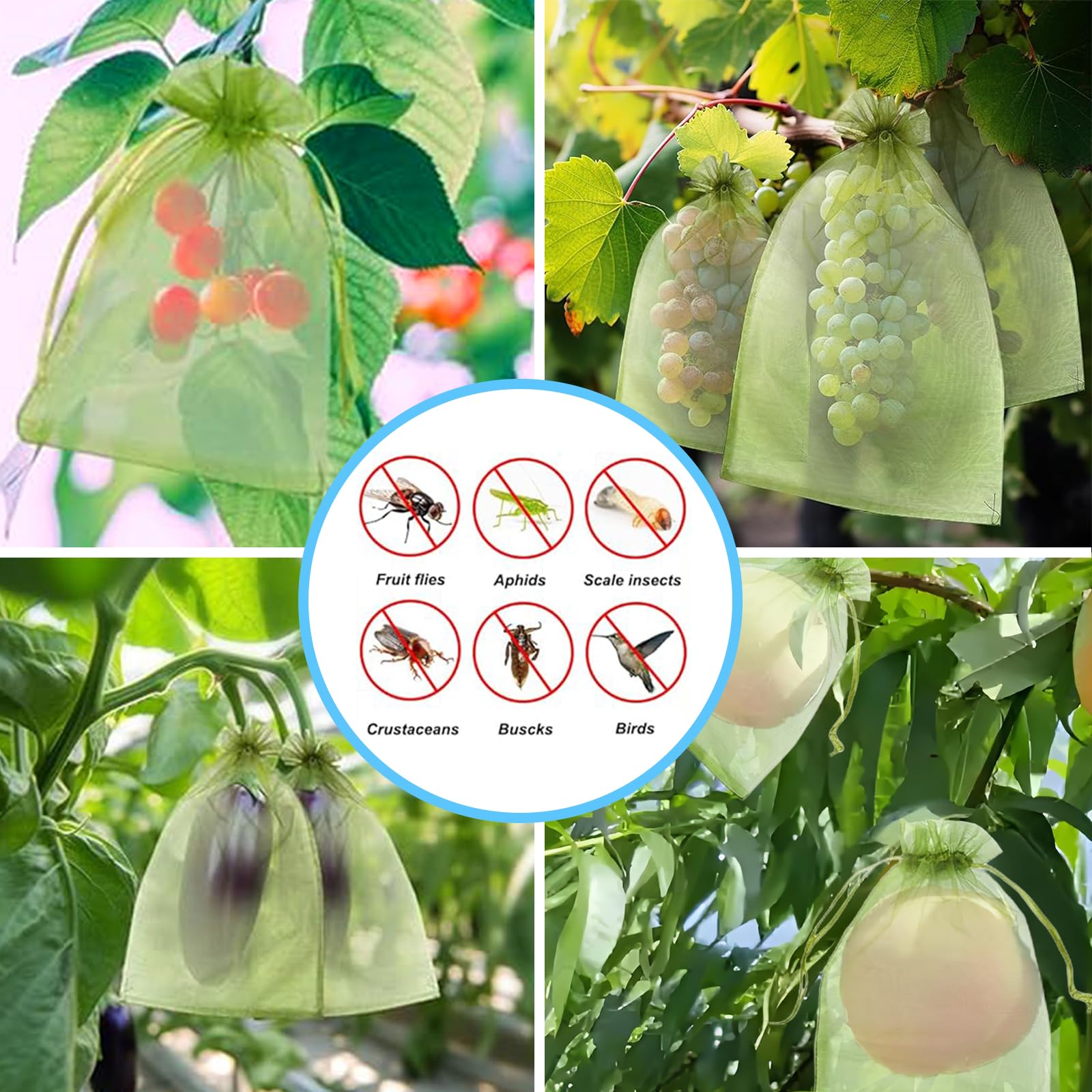 Etkili Kuş Önleyici File Çanta - Outdoor Planting Bag incelemesi ve fiyatı