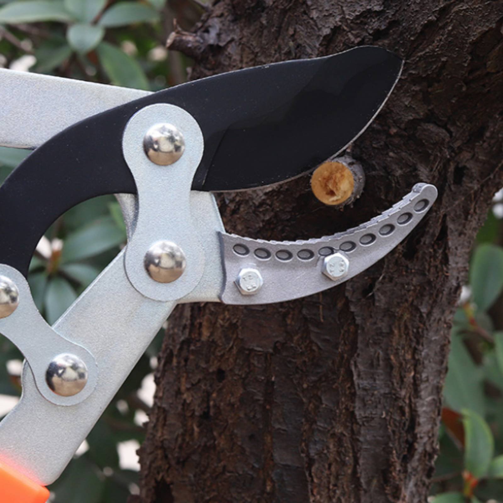 Teleskopik Dal Budama Makinele - Gardening Tools incelemesi ve fiyatı