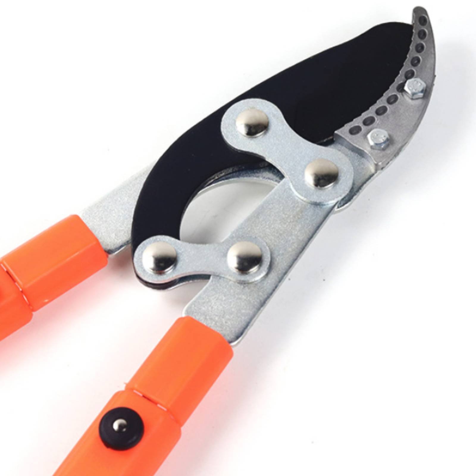 Teleskopik Dal Budama Makinele - Gardening Tools incelemesi ve fiyatı