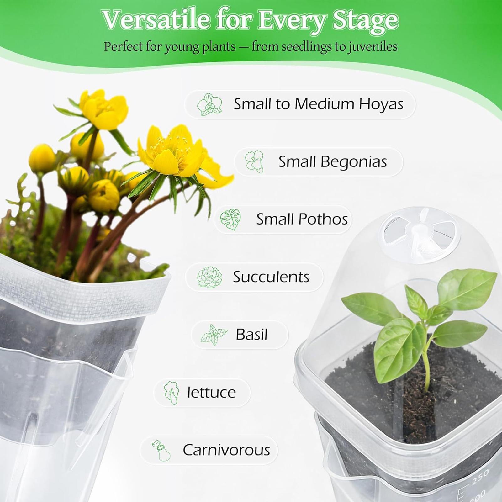 Kendiliğinden Sulanan Saksılar - Propagation Tray Dome incelemesi ve fiyatı
