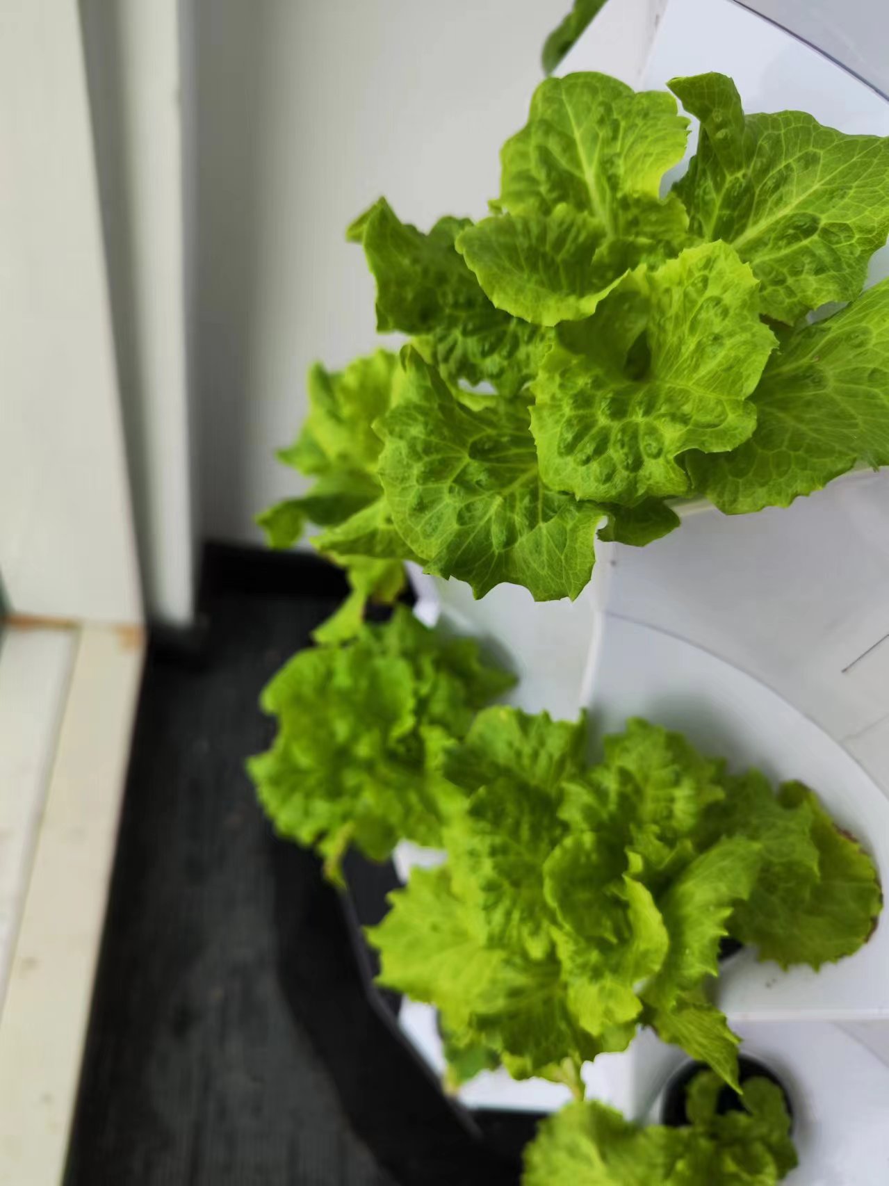 Çiftlik Otomatik Sulama Damla  - Drip Irrigation Kit incelemesi ve fiyatı