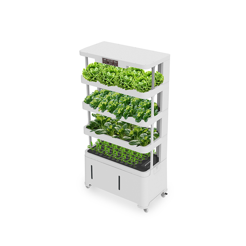 Yüksek Teknolojili Akıllı Hidr - Hydroponic System incelemesi ve fiyatı