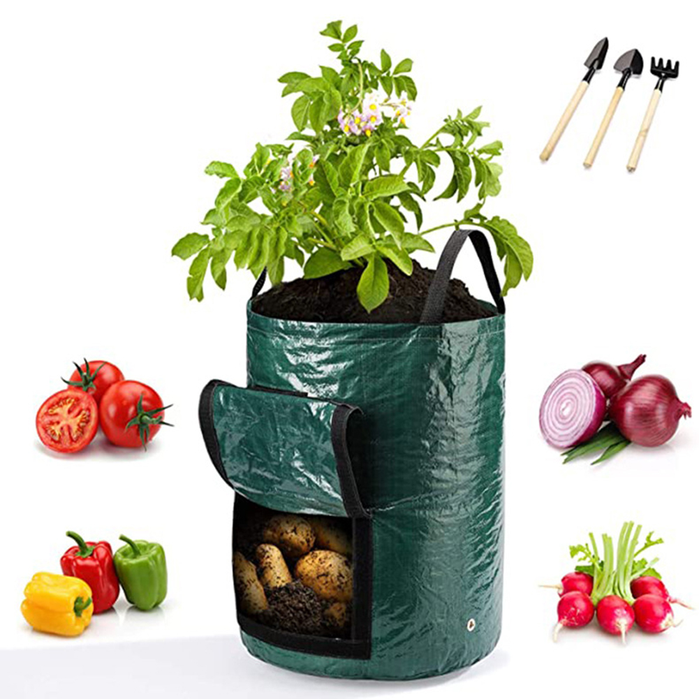 1 adet 10 galonluk sebze bitki - Outdoor Planting Bag incelemesi ve fiyatı